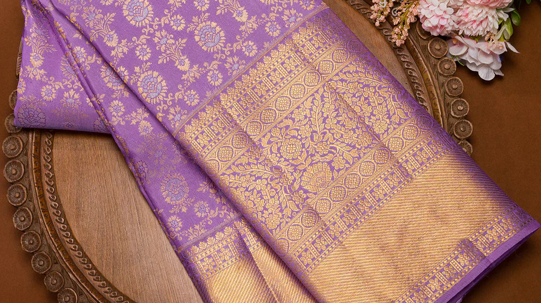 saree photo pose