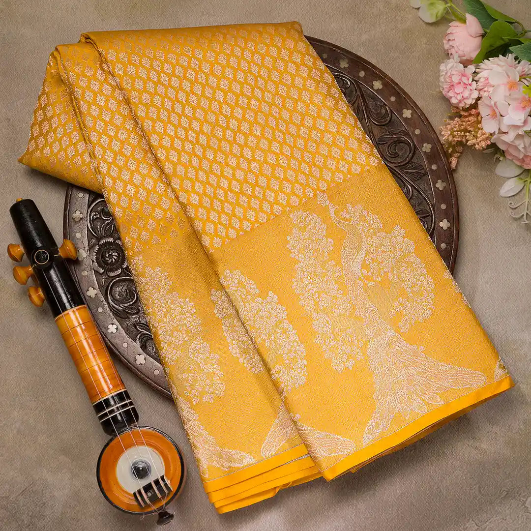 how to get ready in pattu saree
