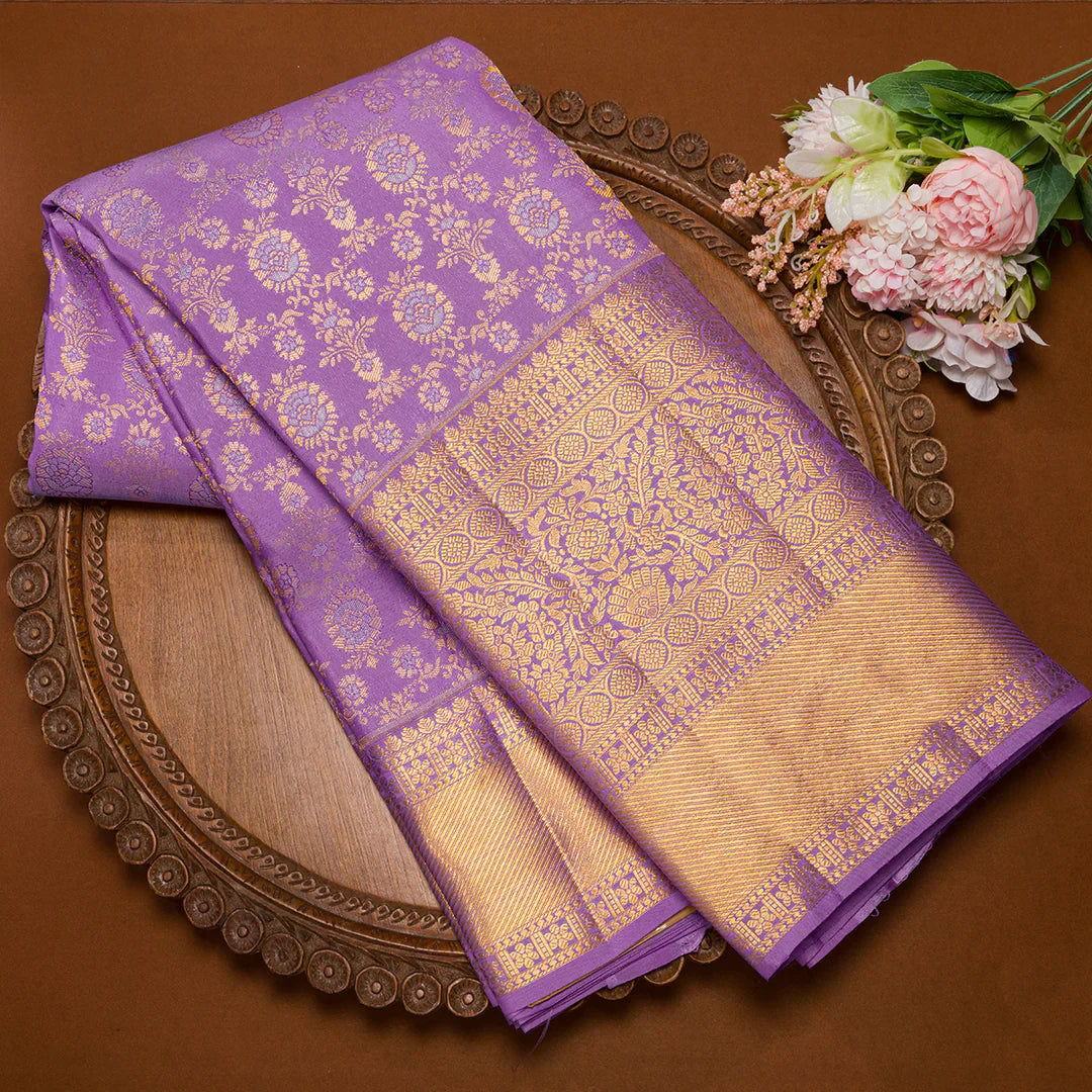 saree photo pose