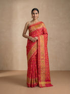 Red Ikat Silk Saree - front standing