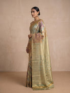 Golden Banaras Georgette Saree - side standing
