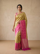 Olive Gold Patola Silk Saree - front pose