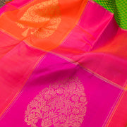 Multi Colour Pure Kanjeevaram Silk Saree
